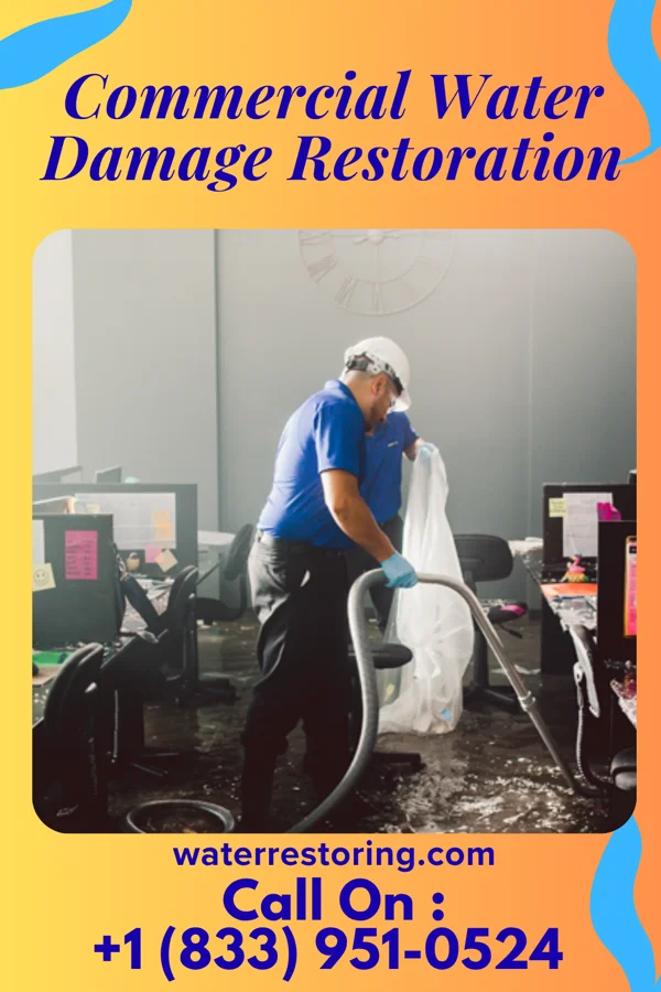 Commercial Water Damage Restoration in Peterson, MN