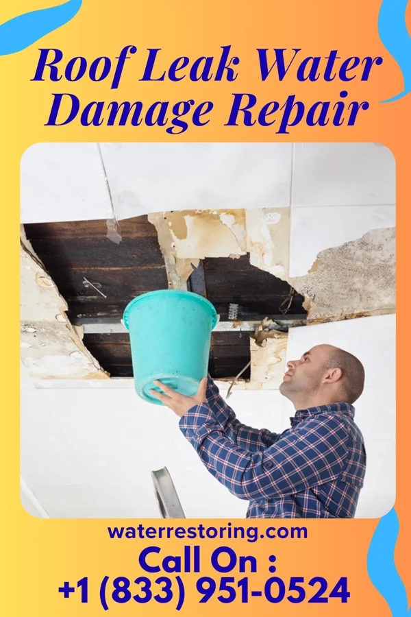 Roof Leak Water Damage Repair in Peterson, MN