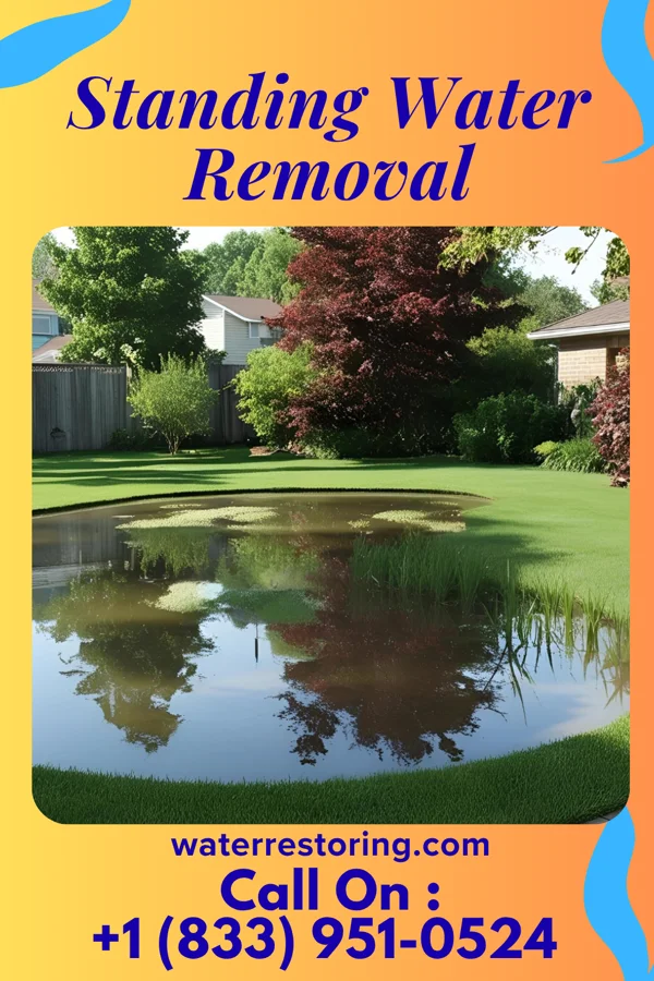 Standing Water Removal in Peterson, MN